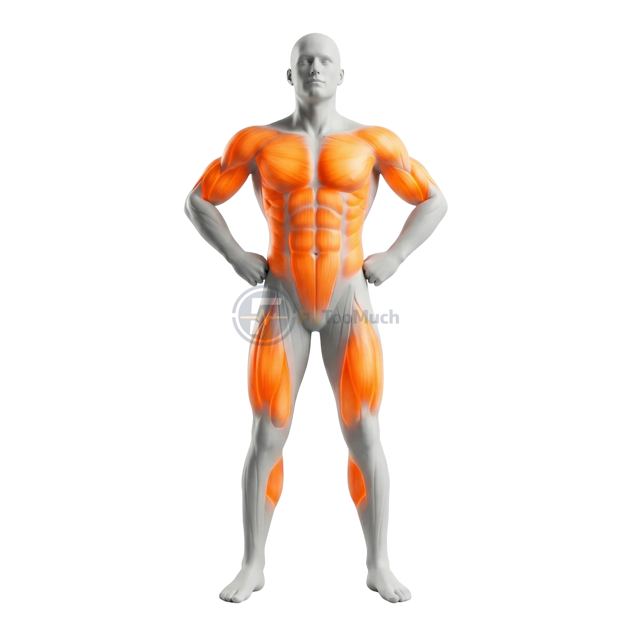 Full Body