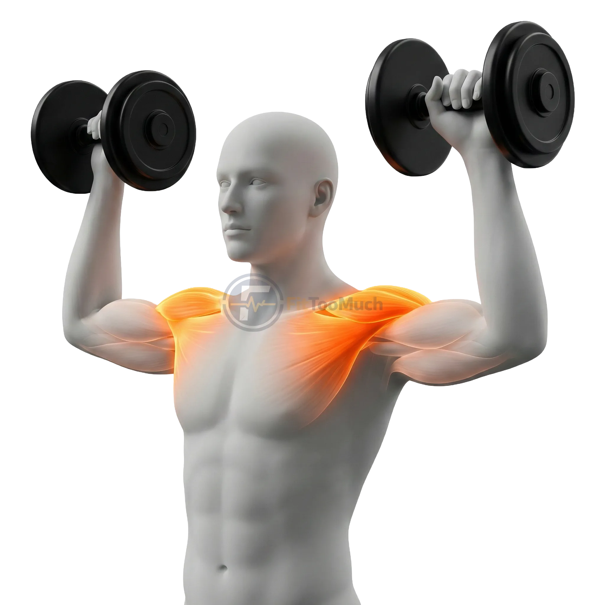 อาร์โนลด์ เพรส (Arnold Press)