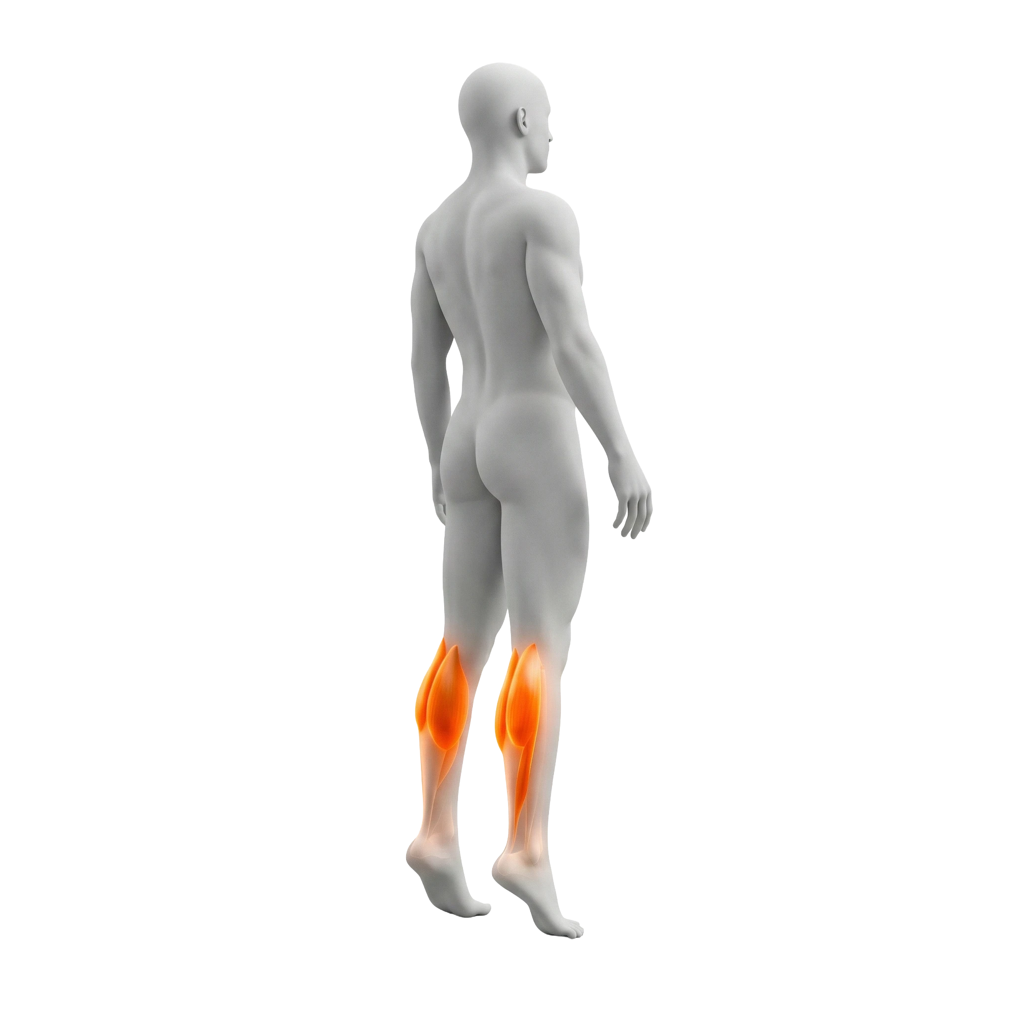 เขย่งปลายเท้า (Standing Calf Raise)