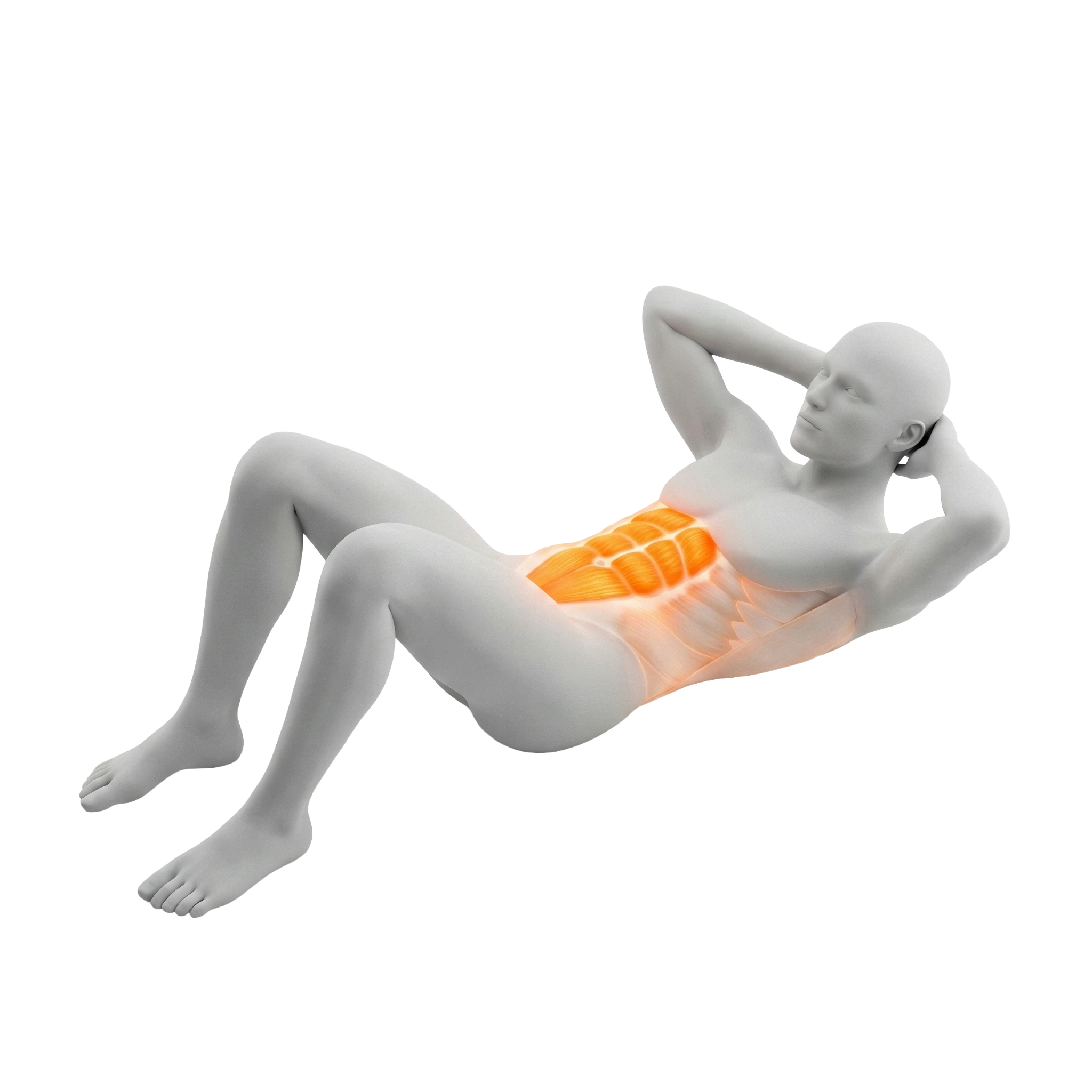 ครันช์ (Abdominal Crunch)