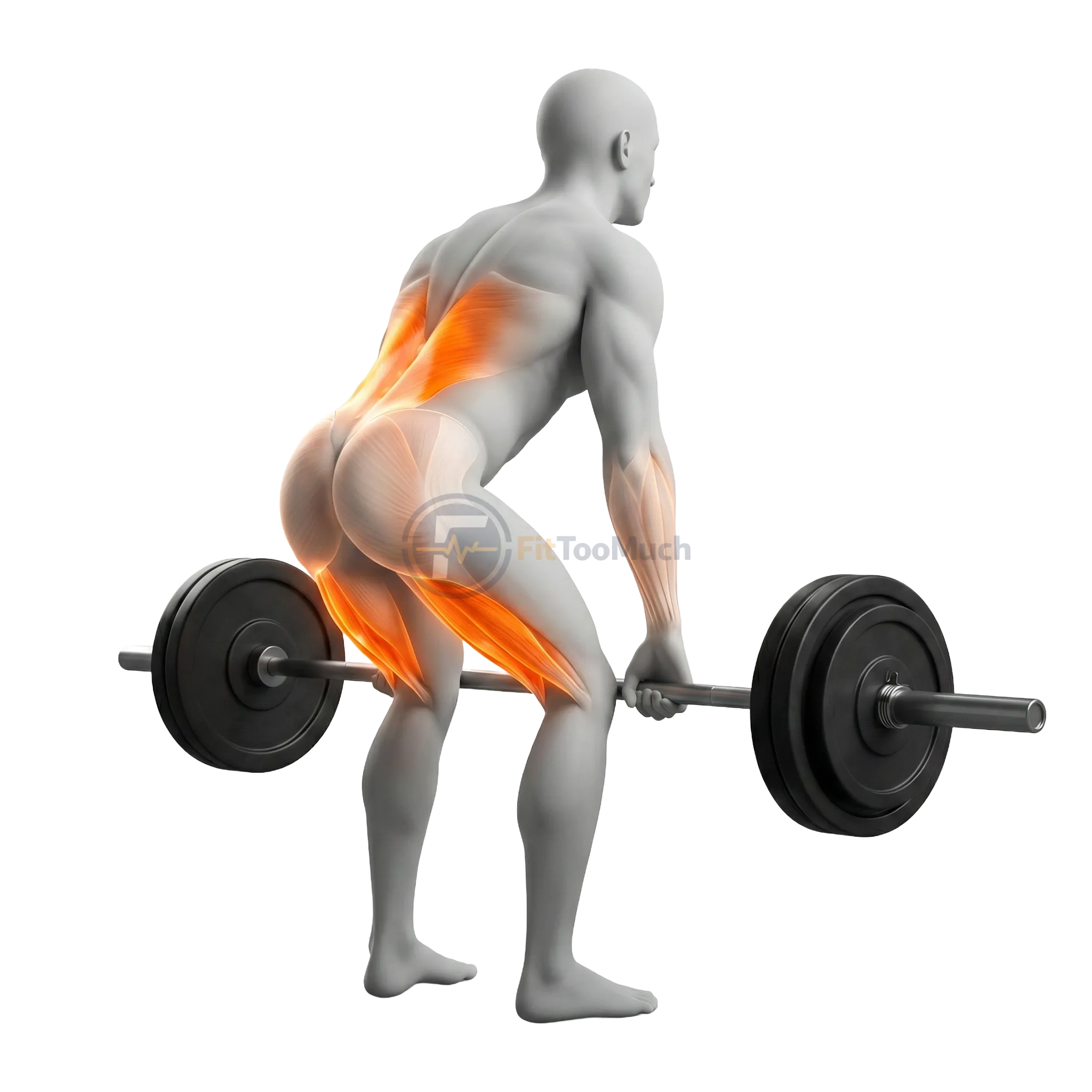 เดดลิฟต์ (Conventional Deadlift)