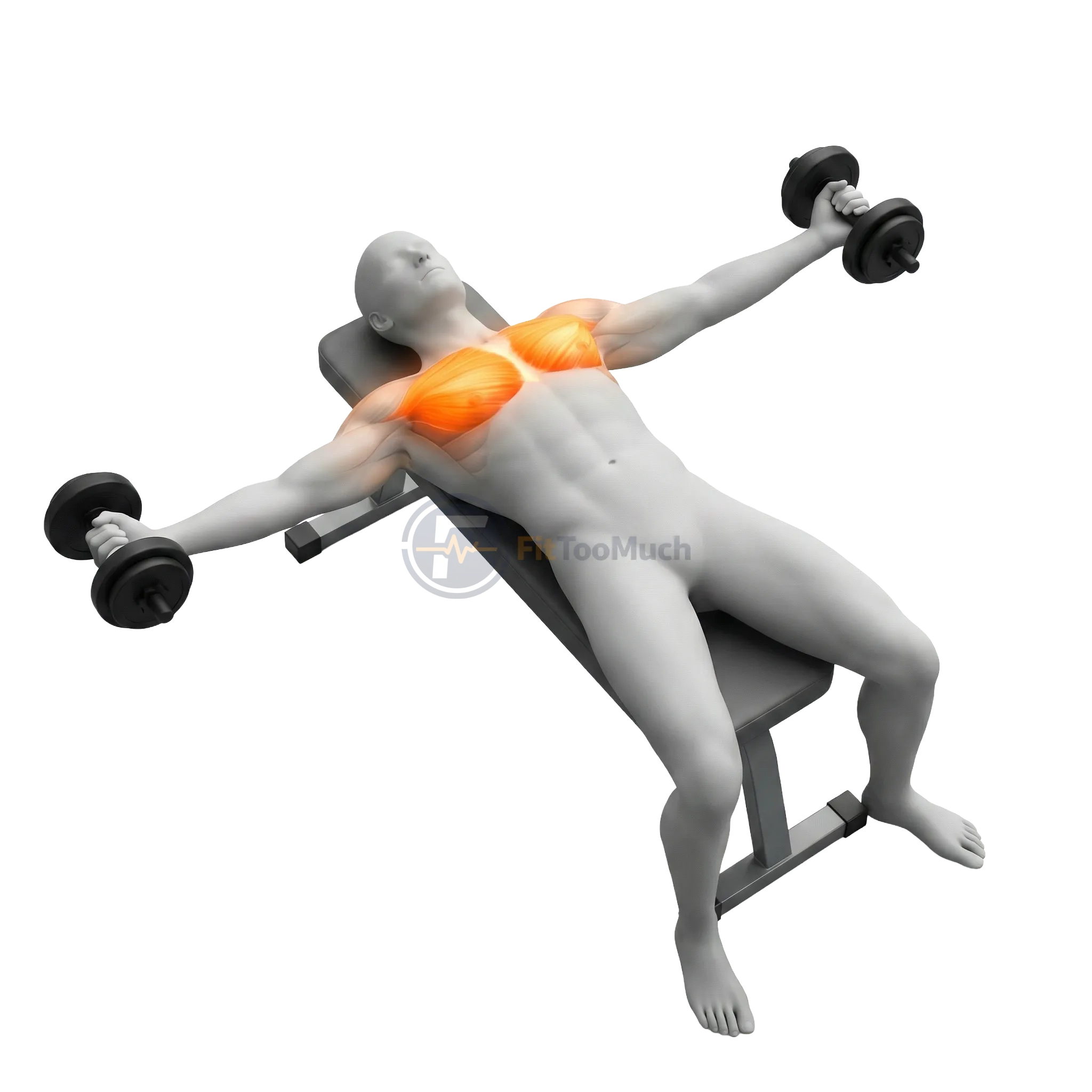 ดัมเบล ฟลาย (Dumbbell Fly)