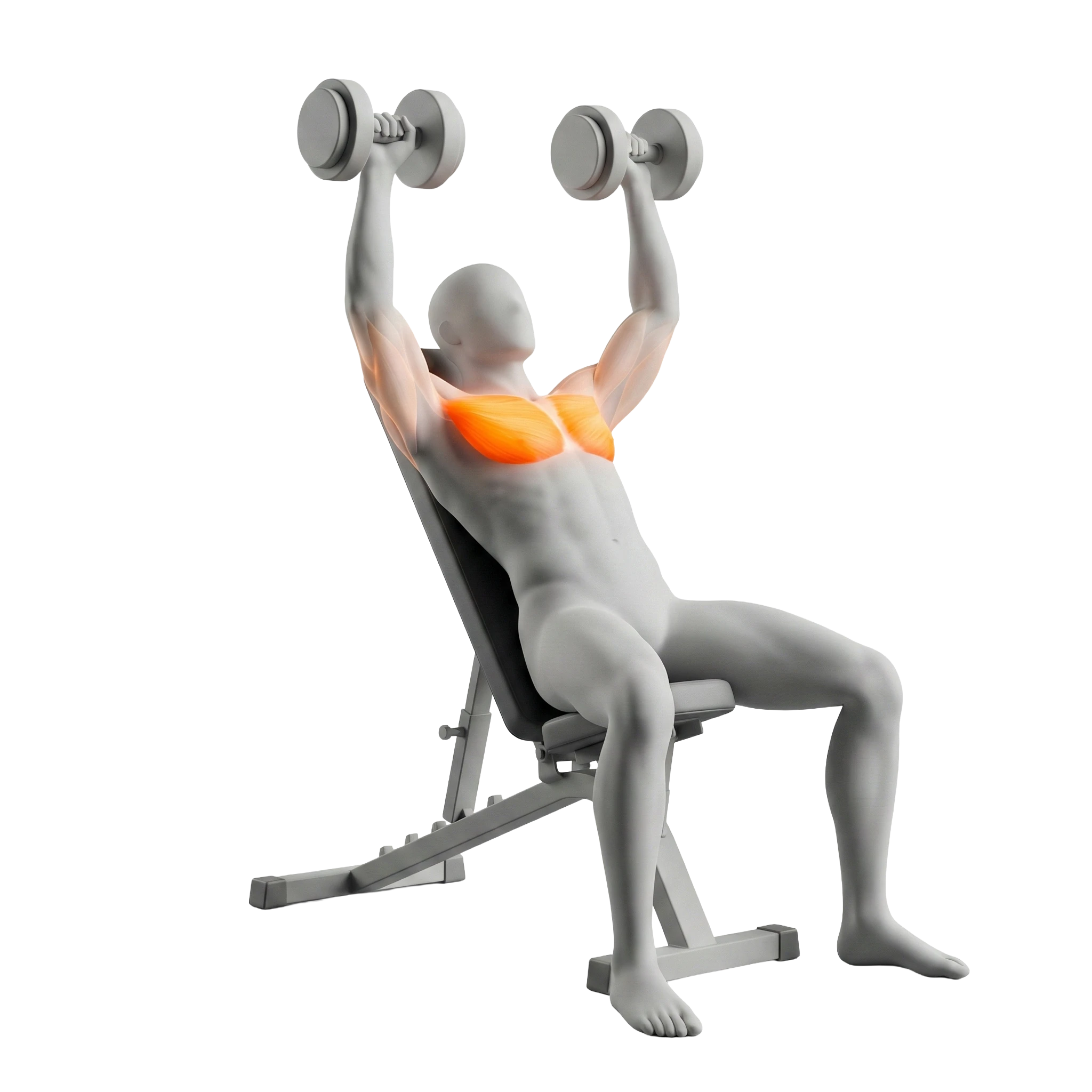 ดัมเบล อกบน (Incline Dumbbell Press)