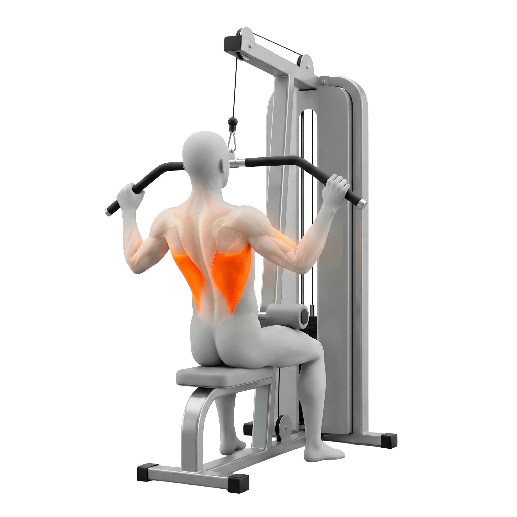 แลท พูลดาวน์ (Lat Pulldown)