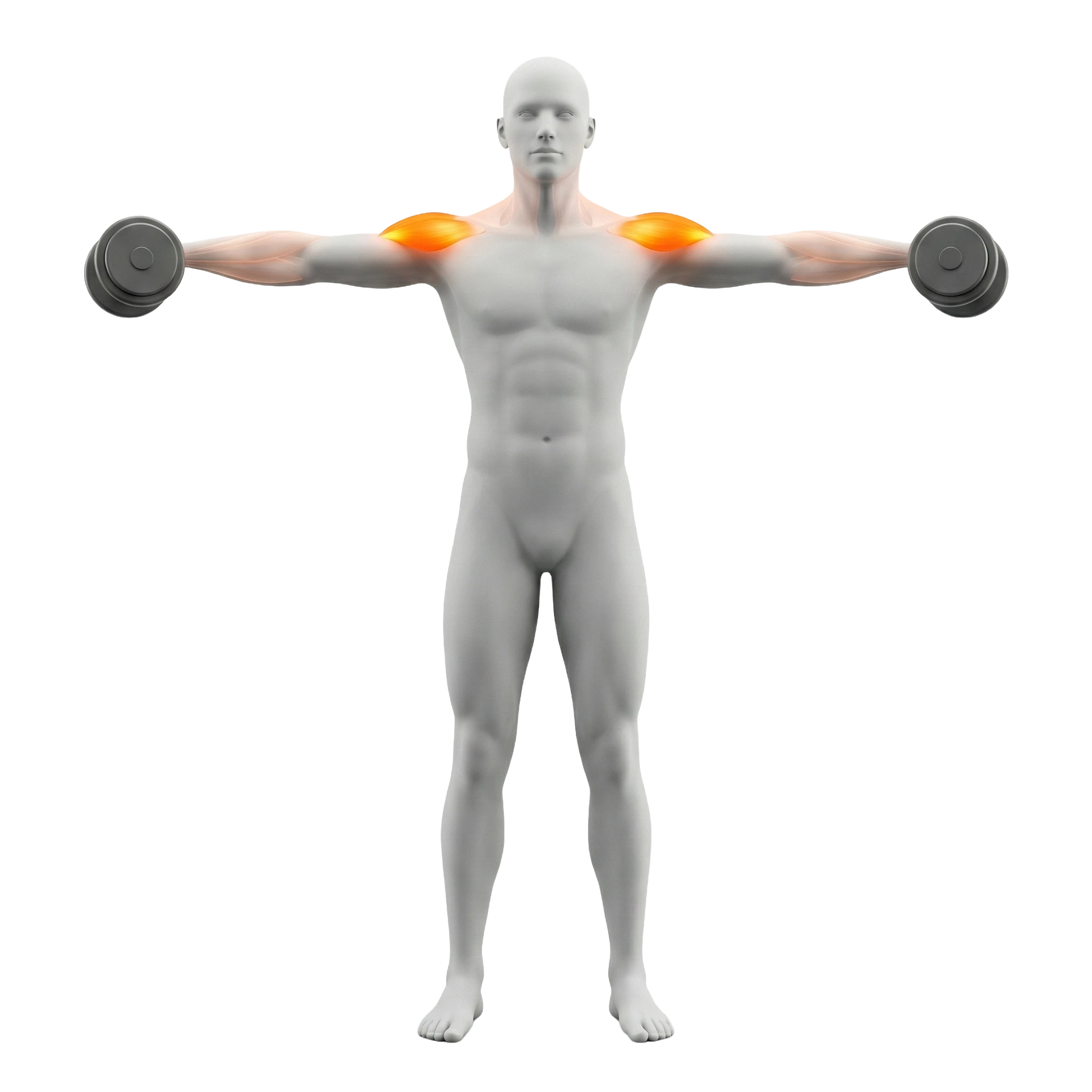 ดัมเบล แลเทอรัล เรส (Dumbbell Lateral Raise)