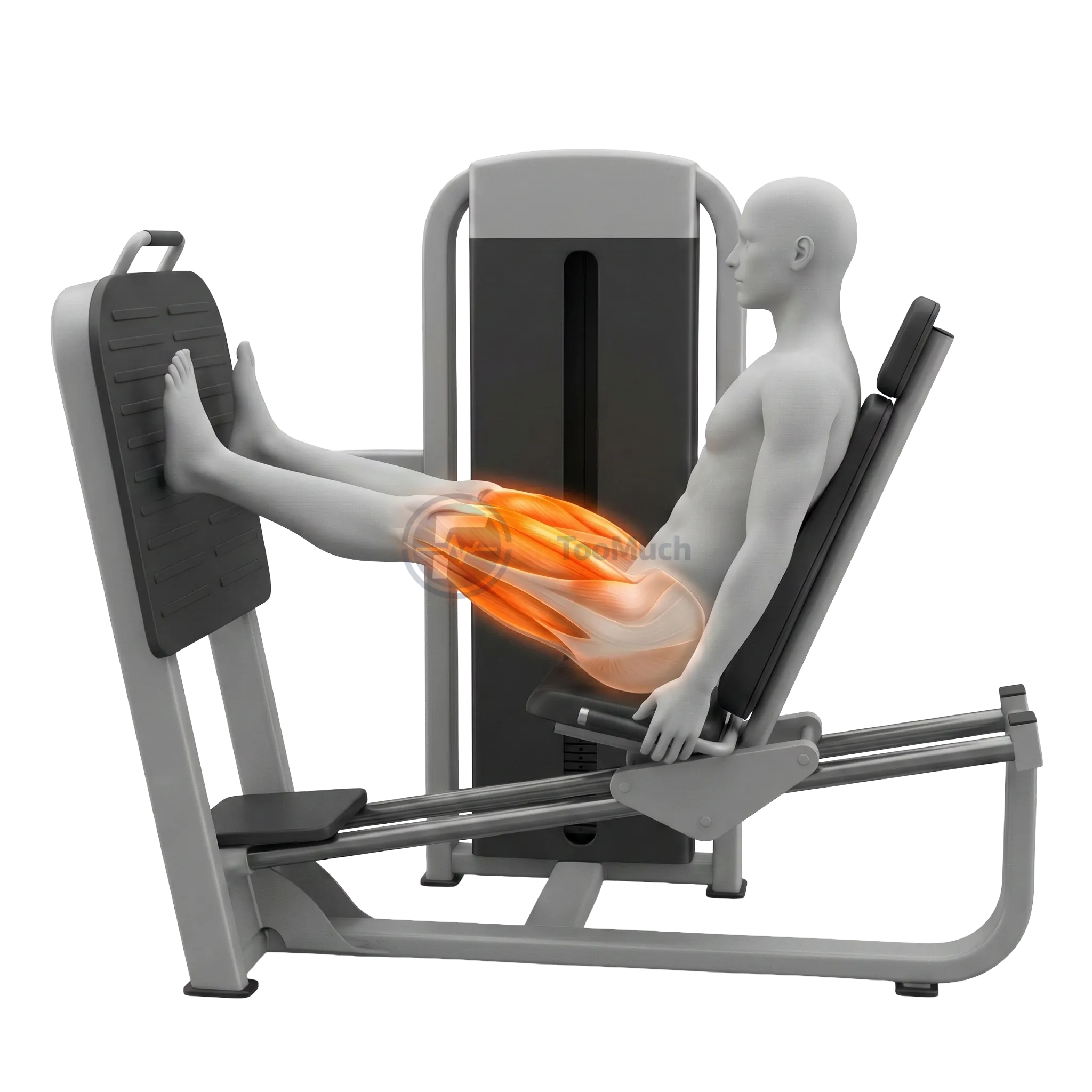 เลก เพรส (Leg Press)