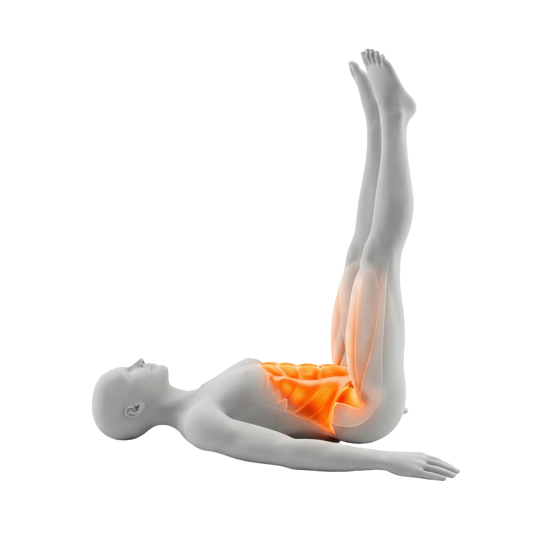 ยกขาเล่นหน้าท้องล่าง (Lying Leg Raise)