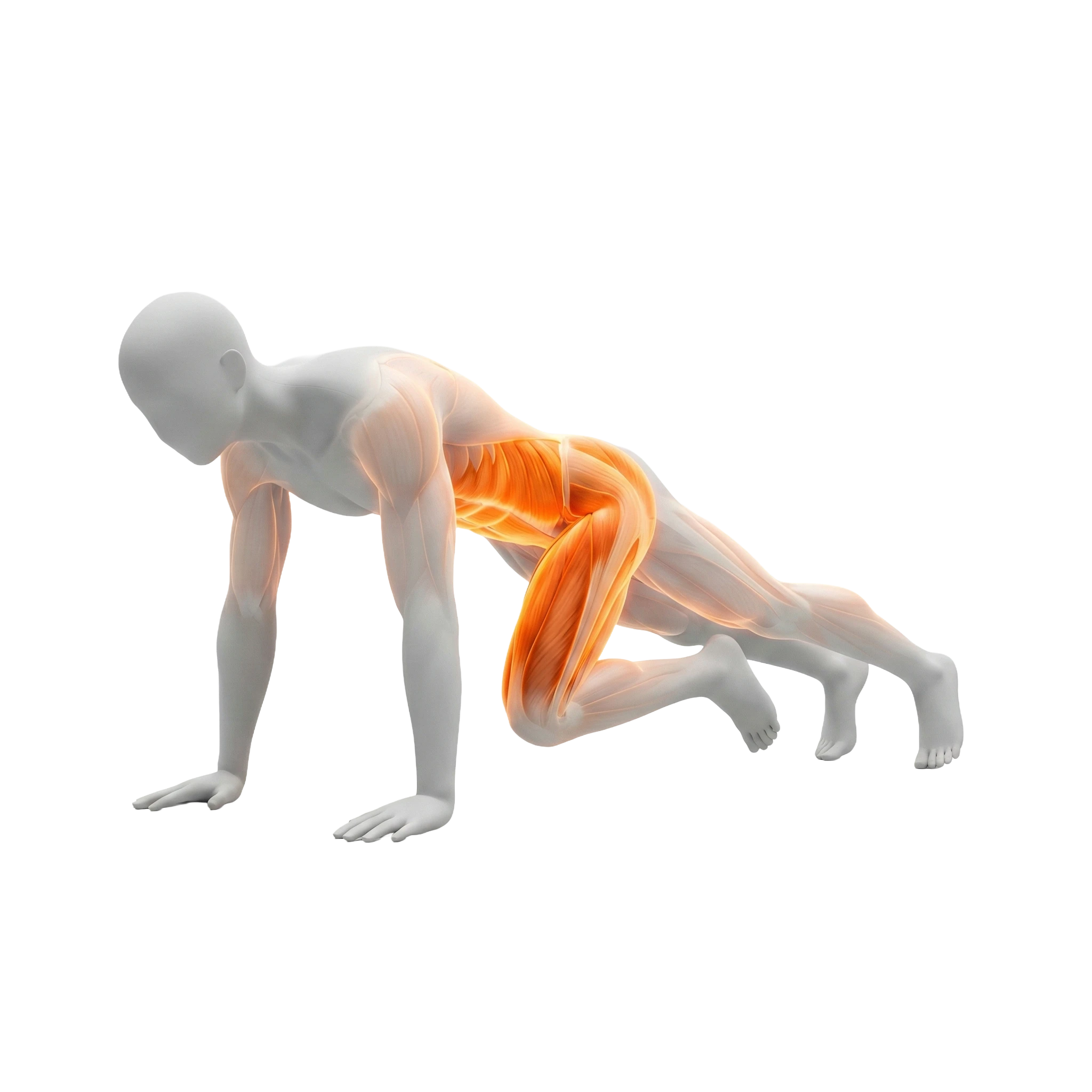 ท่าปีนเขา (Mountain Climber)