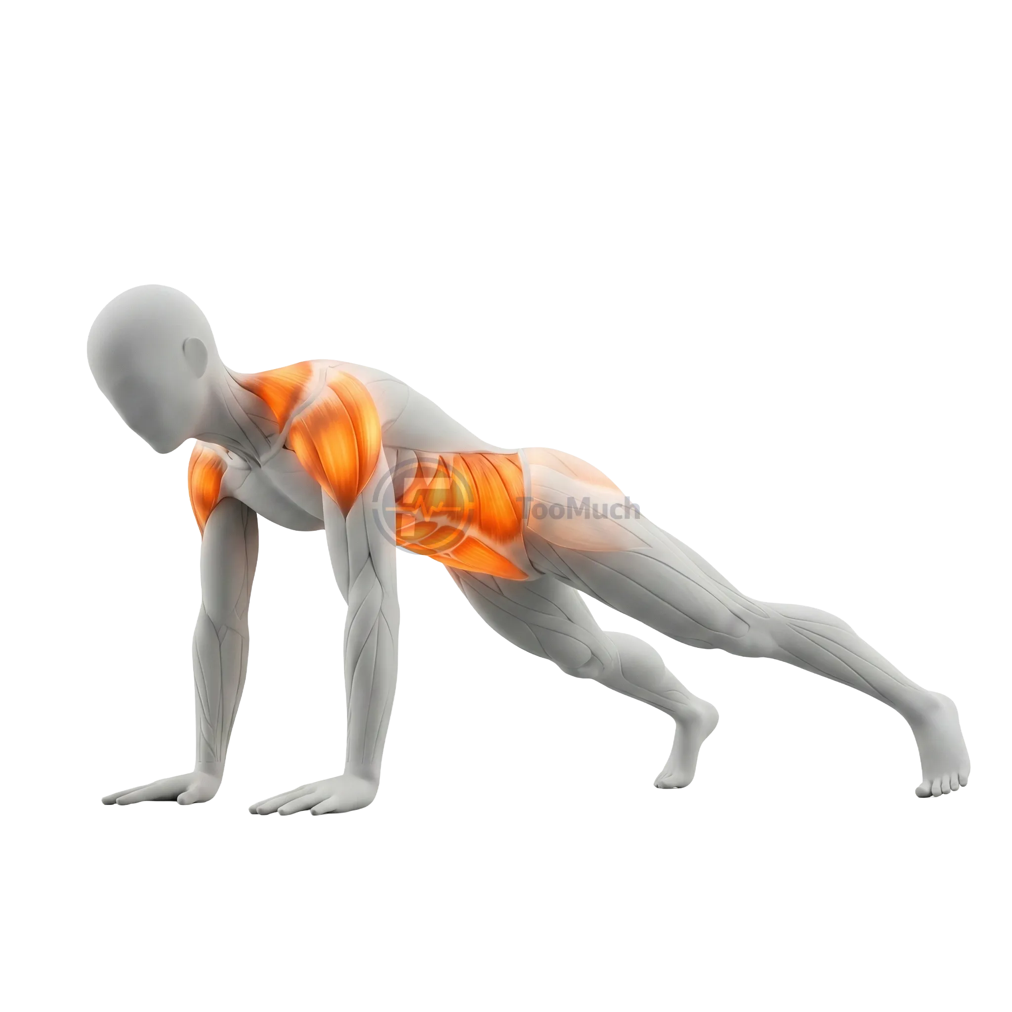 แพลงก์กระโดด (Plank Jacks)