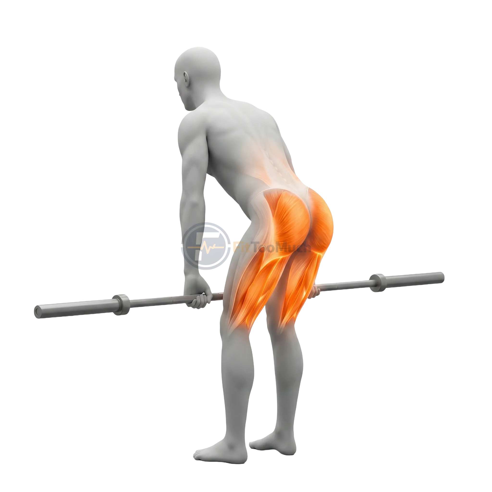 โรมาเนียน เดดลิฟต์ (Romanian Deadlift)