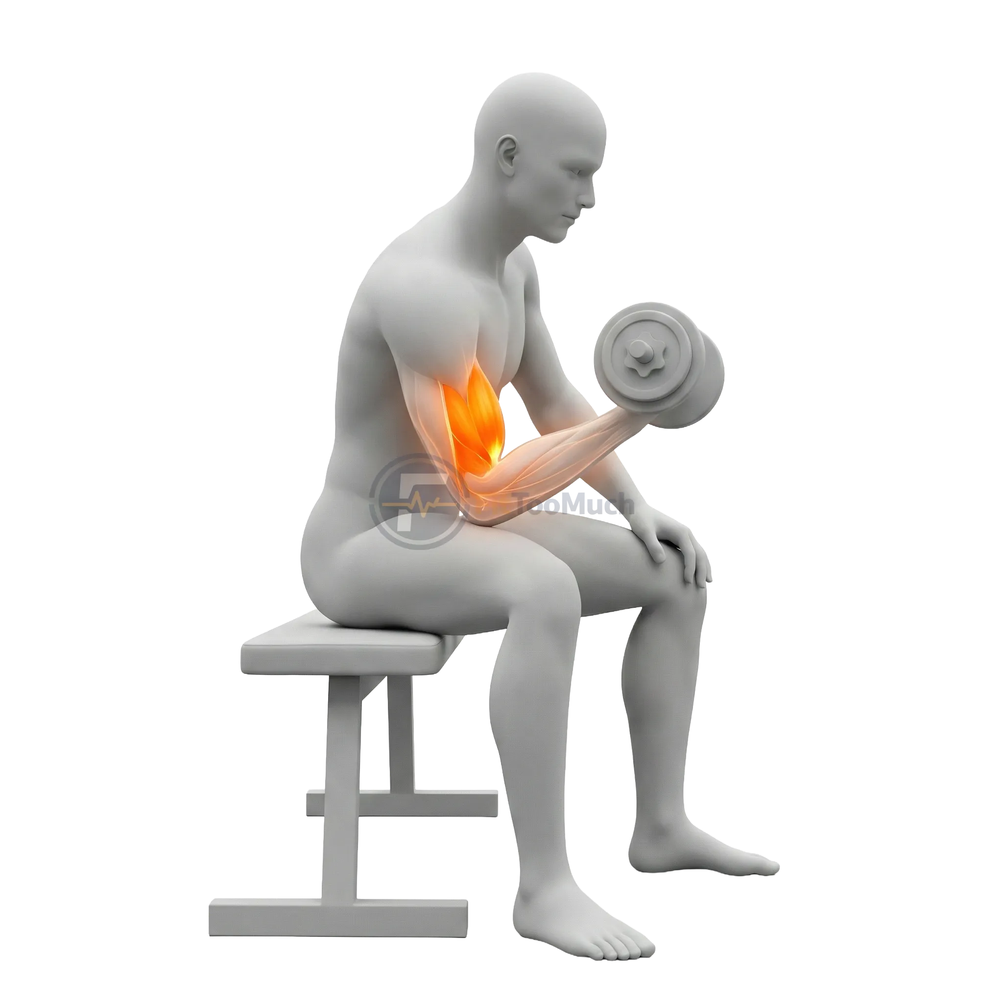 รัสเซียน ทวิสต์ (Russian Twist)