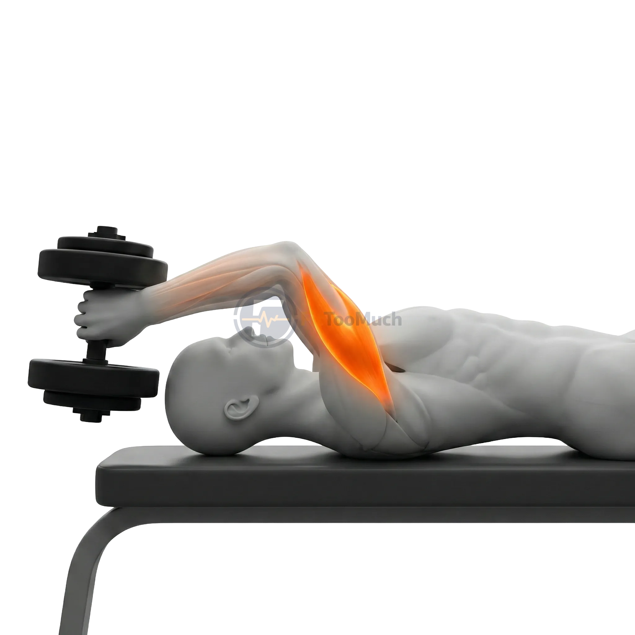 สคัล ครัชเชอร์ (Barbell Skull Crusher)